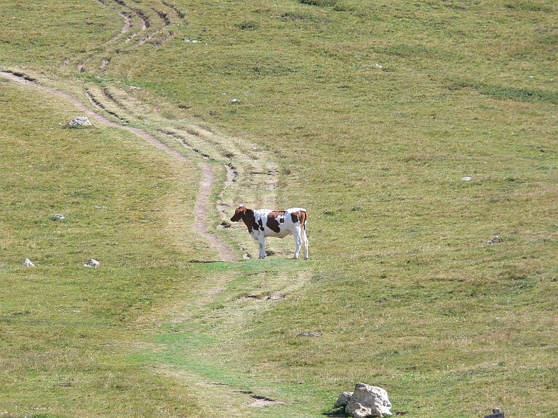Moncenisio_20100829_056.JPG
