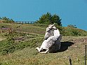 Moncenisio_20100829_053