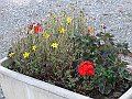 Pontcharra20101009_008