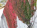 Pontcharra20101009_016