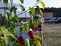 Pontcharra20101009_133