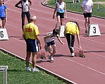 P1210554