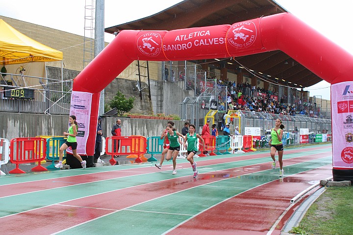 Calvesi2011_112