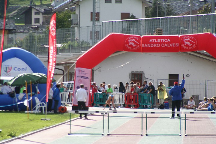Calvesi2011_293