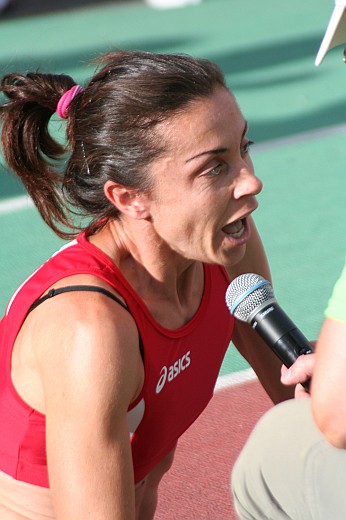 Calvesi2011_313