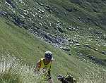 Crabun2011_013