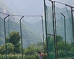IMG_0127