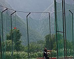 IMG_0129