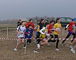 CrossIvrea2013_0056
