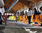 IMG_5253