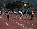 IMG_0487