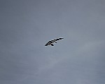 IMG_1684