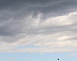 IMG_1763