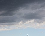 IMG_1764