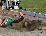 _MG_0379