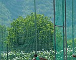Donnas_VcV_2013_079
