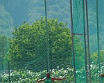 Donnas_VcV_2013_084