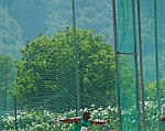 Donnas_VcV_2013_085