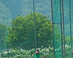 Donnas_VcV_2013_086