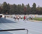 DSCF4461