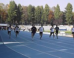 DSCF4537