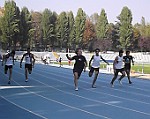 DSCF4542