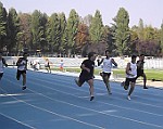 DSCF4544