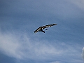 IMG_2959