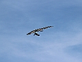 IMG_2960