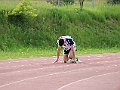IMG_3239