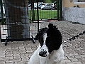 IMG_3292