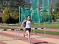 IMG_3452