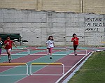 IMG_4033