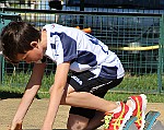 IMG_4470