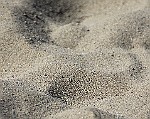 IMG_4510