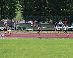 IMG_5239