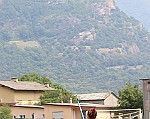 PM_Cadetti_Donnas_22062014_208