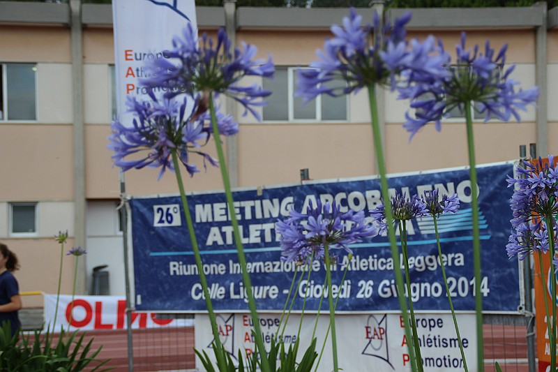 CelleLigure-MA2014_058