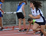 CelleLigure-MA2014_044