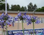 CelleLigure-MA2014_057