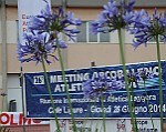 CelleLigure-MA2014_058