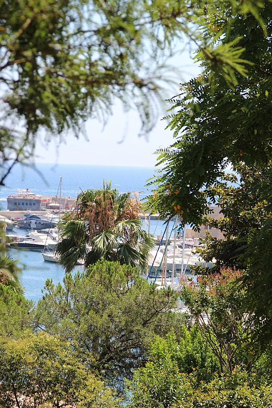 Montecarlo-2014_005