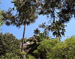 Montecarlo-2014_002