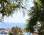 Montecarlo-2014_005