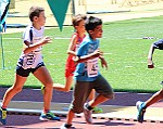 Montecarlo-2014_032