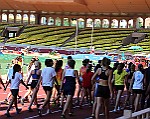 Montecarlo-2014_082