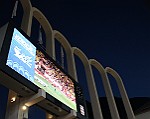 Montecarlo-2014_446