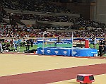 Montecarlo-2014_484