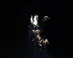 Montecarlo-2014_575