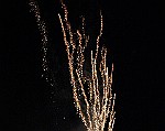 Montecarlo-2014_583